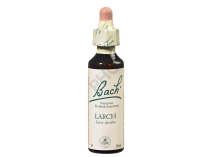 LARCH - Fleurs de Bach N°19, 20 ml