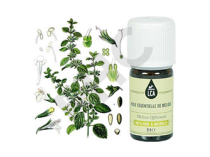 Melisse huile essentielle bio