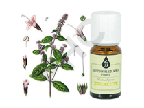 Menthe poivrée huile essentielle