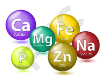 OLIGOELEMENT COBALT