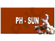 PH SUN