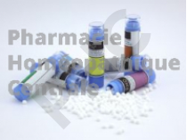 Populus candicans  homéopathie tube granules - pharmacie PHC 