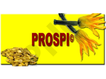 PROSPI, 90 gélules