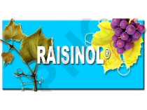 RAISINOL, 60 gélules
