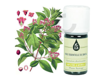 Santal huile essentielle