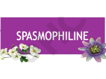 SUN REX SPASMOPHILINE, 180 gélules