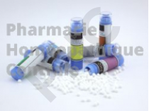 Teucrium scorodonia homéopathie tube granules - pharmacie PHC 