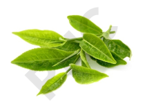 THE VERT  en vrac (Camellia sinensis)