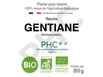 Tisane Gentiane bio fleurs - Gentiana lutea - Herboristerie PHC