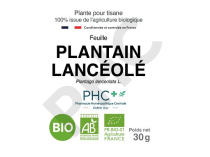Tisane Plantain lancéolé bio feuilles - Plantango lanceolata - Herboristerie PHC