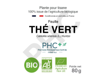 Tisane Thé vert bio feuilles - Camellia sinensis - Herboristerie PHC