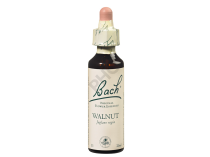 WALNUT - Fleurs de Bach N°33, 20 ml