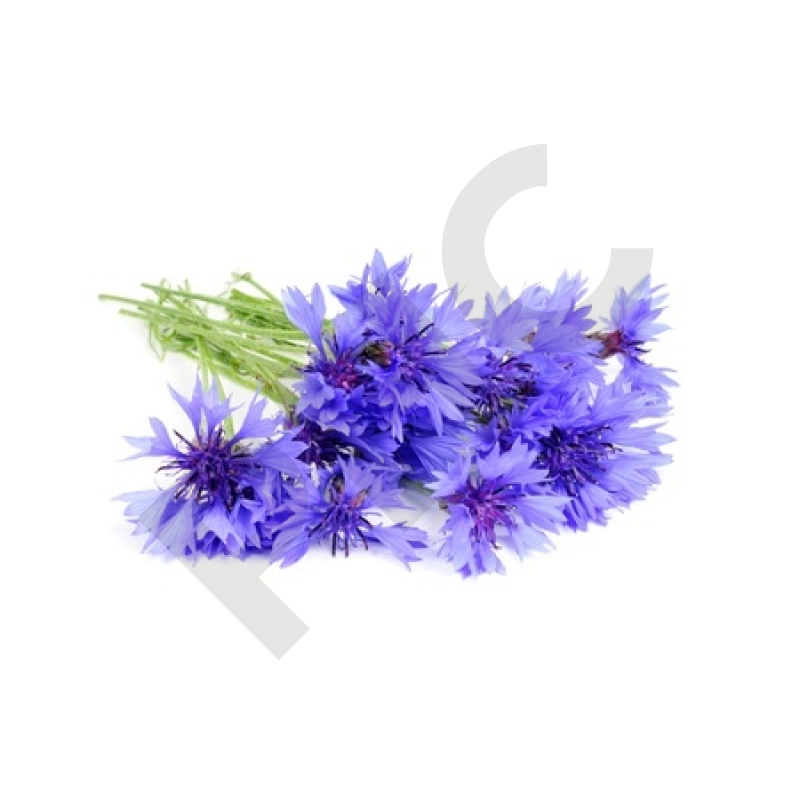 BLEUET (Pétale entier)