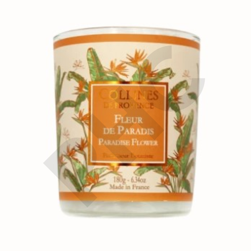 Bougie parfumée Fleur de Paradis - Collines de Provence