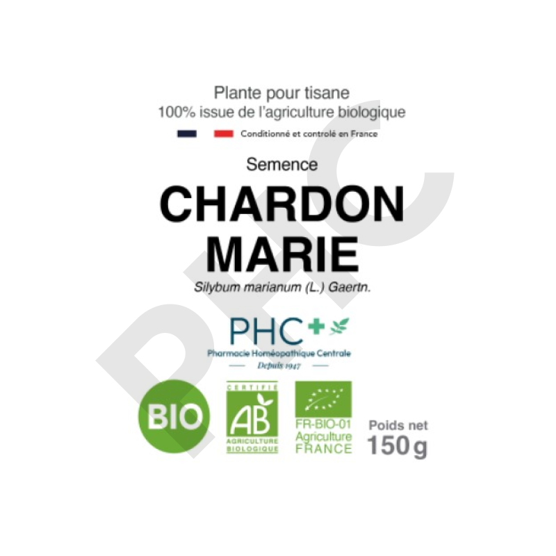Chardon marie tisane PHC.jpg