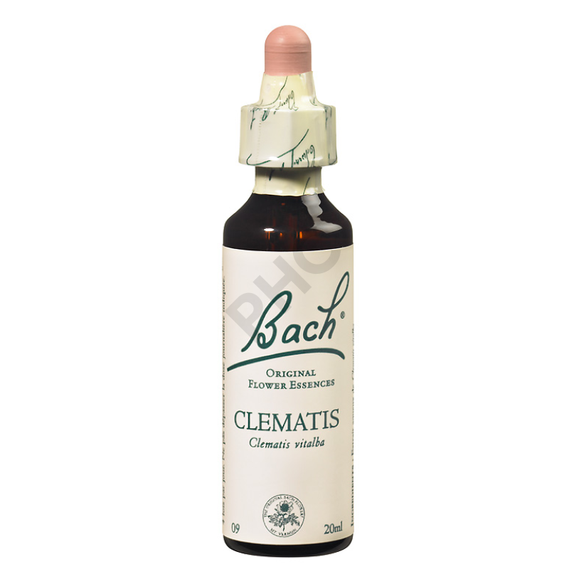 CLEMATIS - Fleurs de Bach N°09, 20 ml