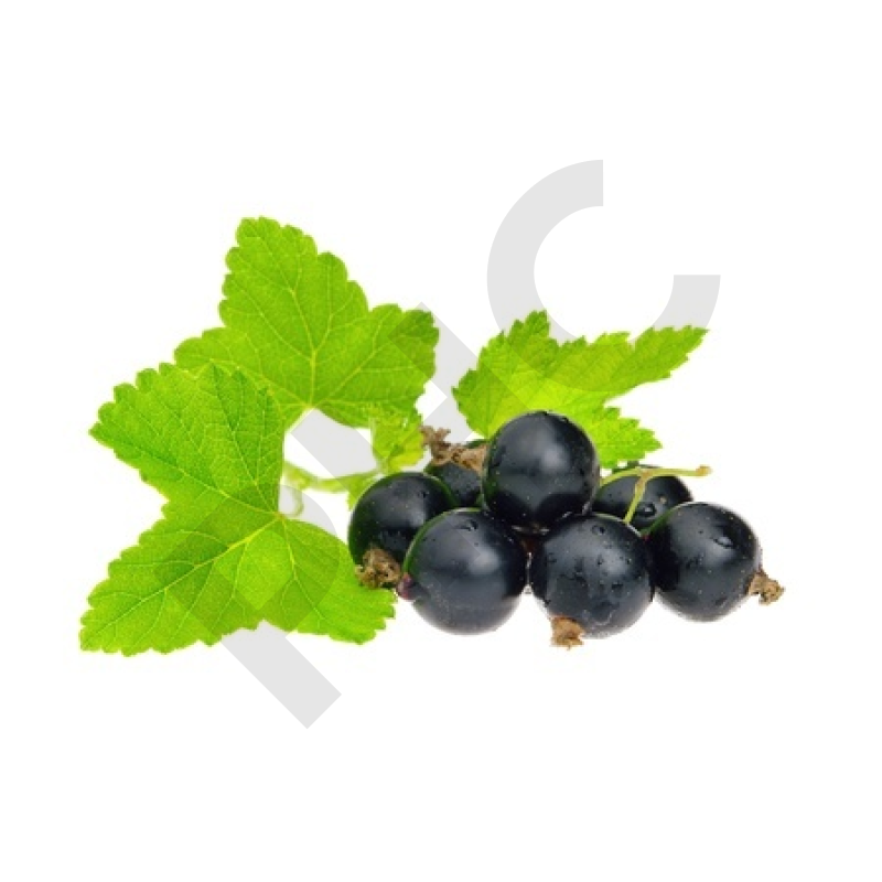 EPS cassis rhumatisme arthrose