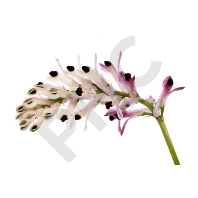 EPS fumeterre eczema, acne, psoriasis... 