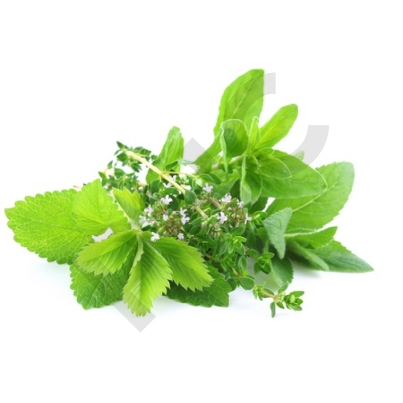 EPS mélisse spasme sommeil stress