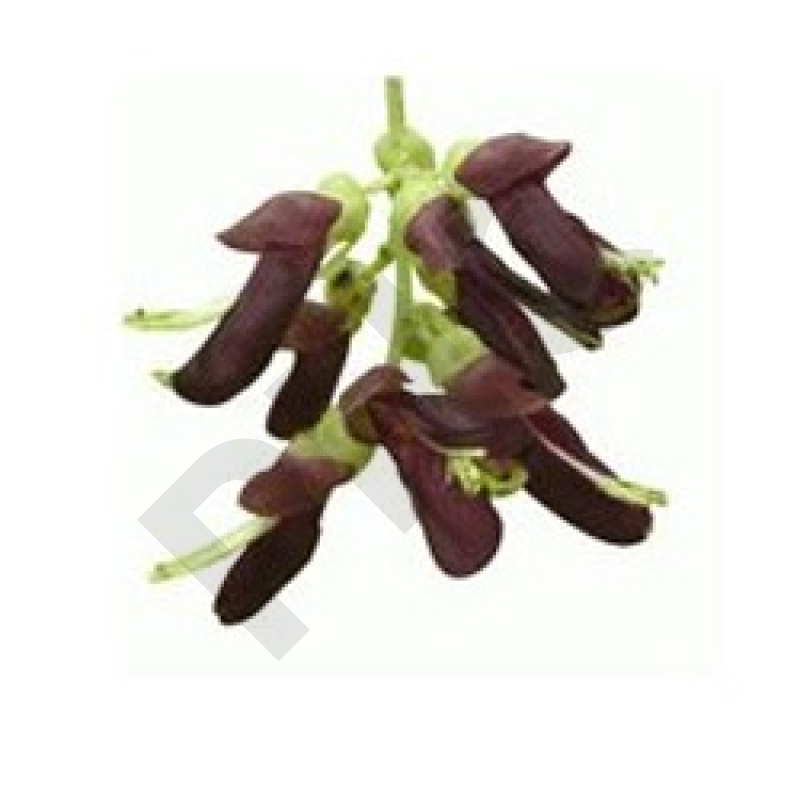 EPS mucuna