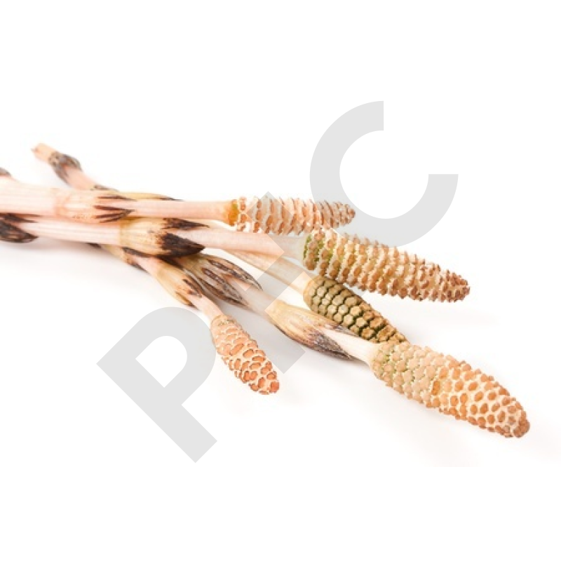 EPS prêle arthrite arthrose fractures