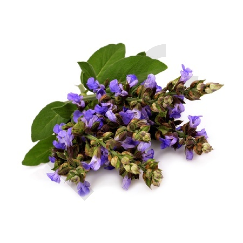 EPS sauge sclarée menopause troubles hormonaux