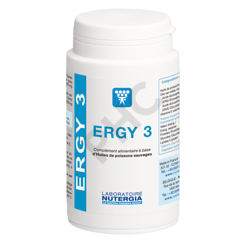  ERGY 3