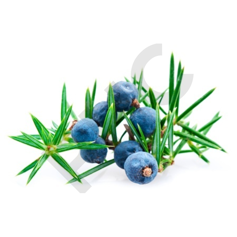 GENIEVRE (Fruit entier)