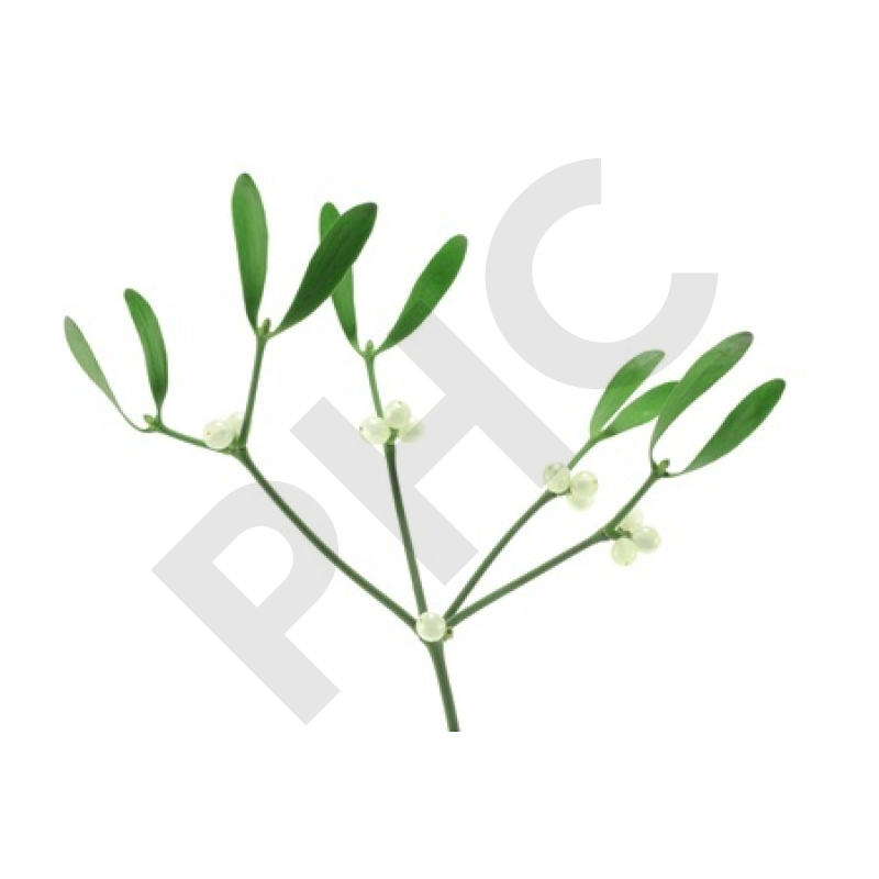 GUI (Feuille coupée)