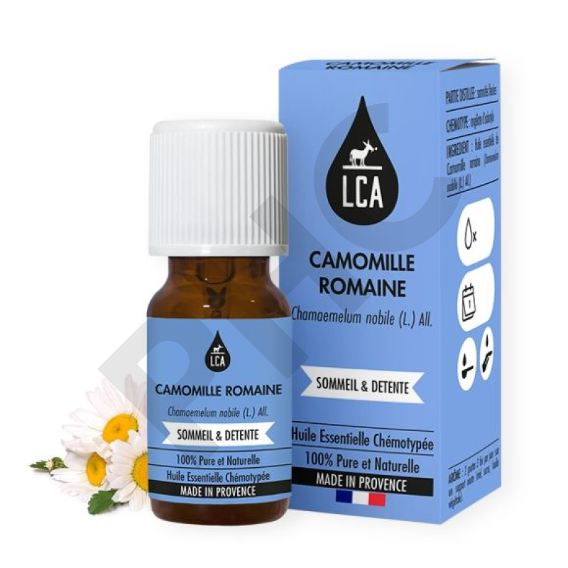 HE-camomille-romaine.jpg