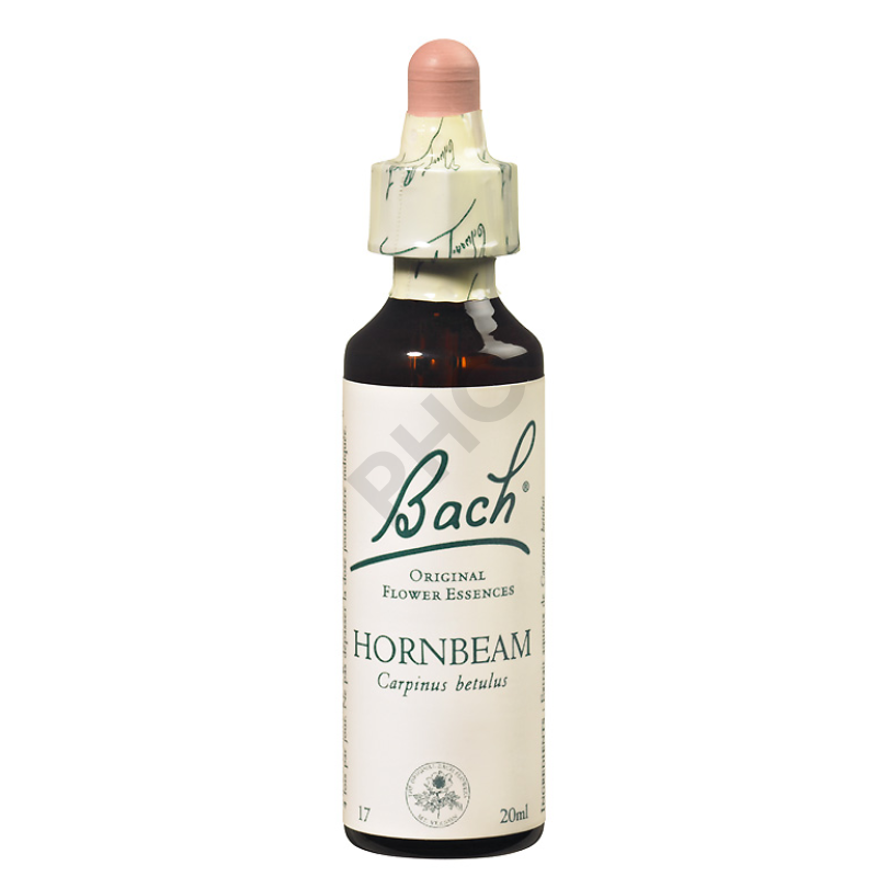 HORNBEAM - Fleurs de Bach N°17, 20 ml