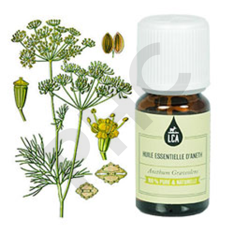 Huile essentielle aneth, 10ml