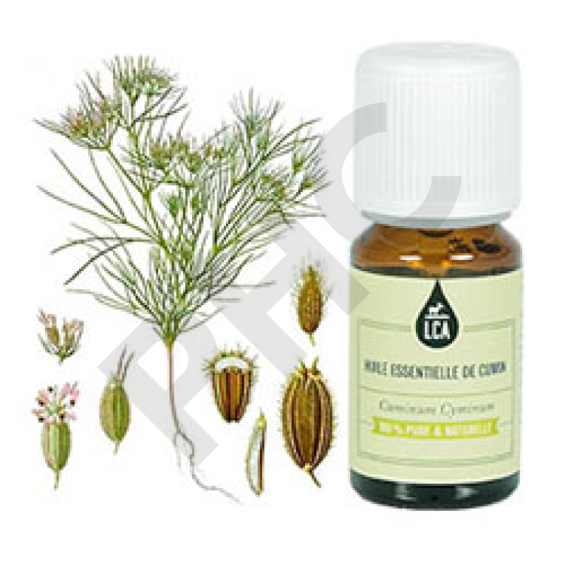 Huile essentielle cumin