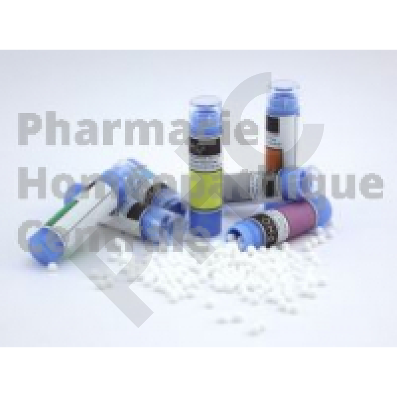 Marrubium Vulgare- Tube de granules homéopathiques PHC