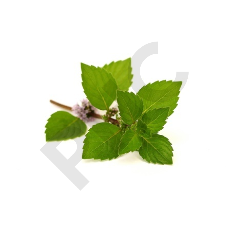 MENTHE POIVREE (Feuille mondée)