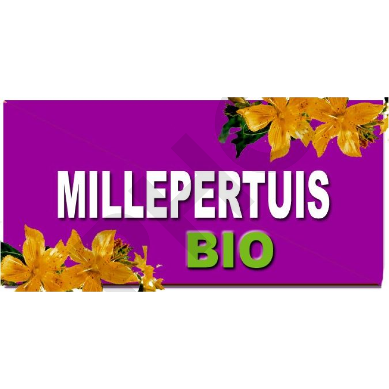 Millepertuis bio - sommeil anti-déprime