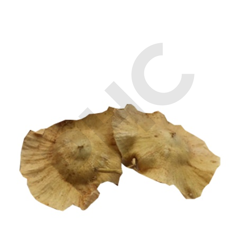 PALIURE (Fruit entier)