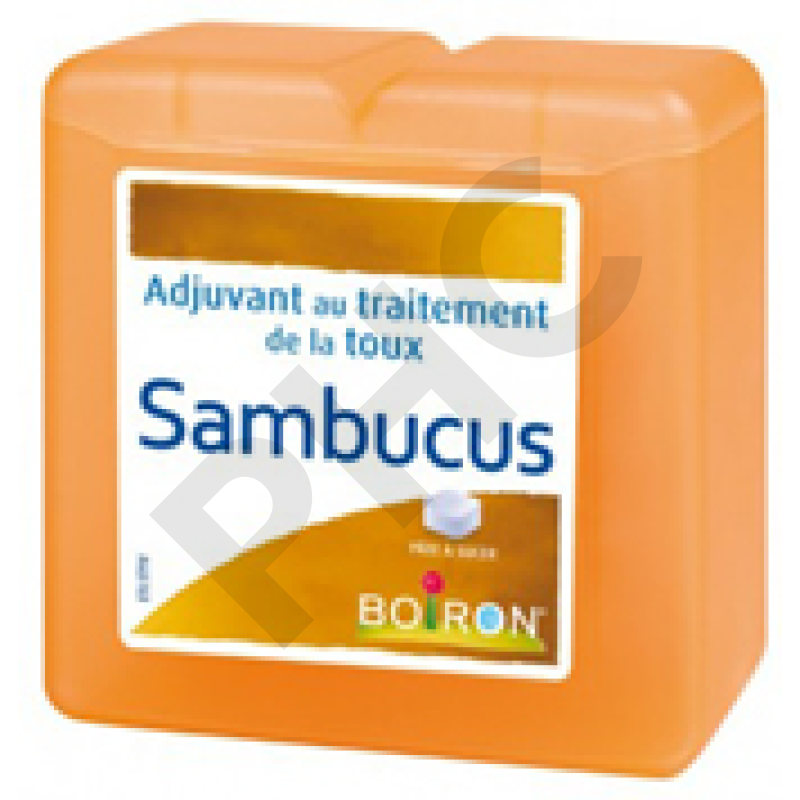PATES SAMBUCUS, 70g boite 70 pâtes