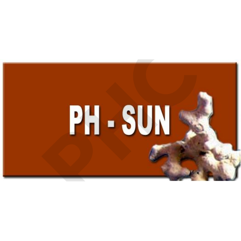PH SUN