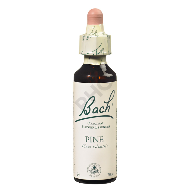 PINE - Fleurs de Bach N°24, 20 ml