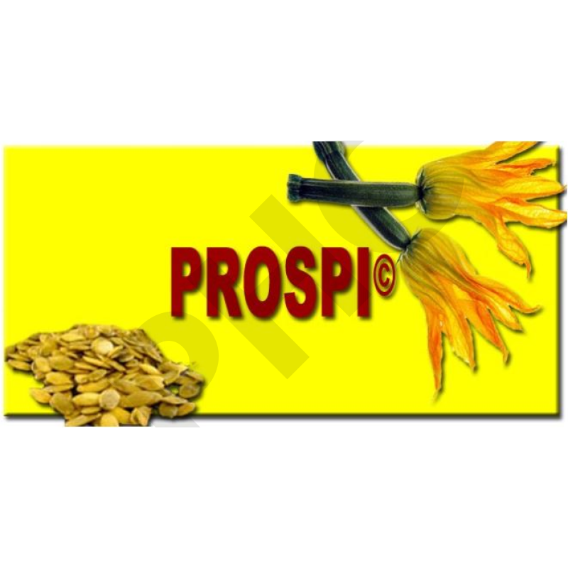 PROSPI, 90 gélules