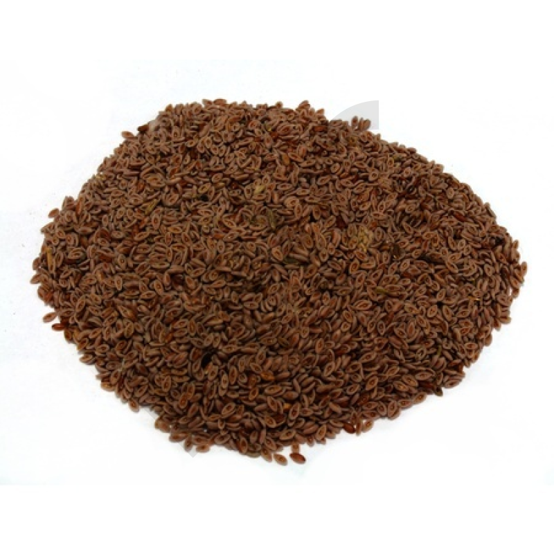 PSYLLIUM NOIR