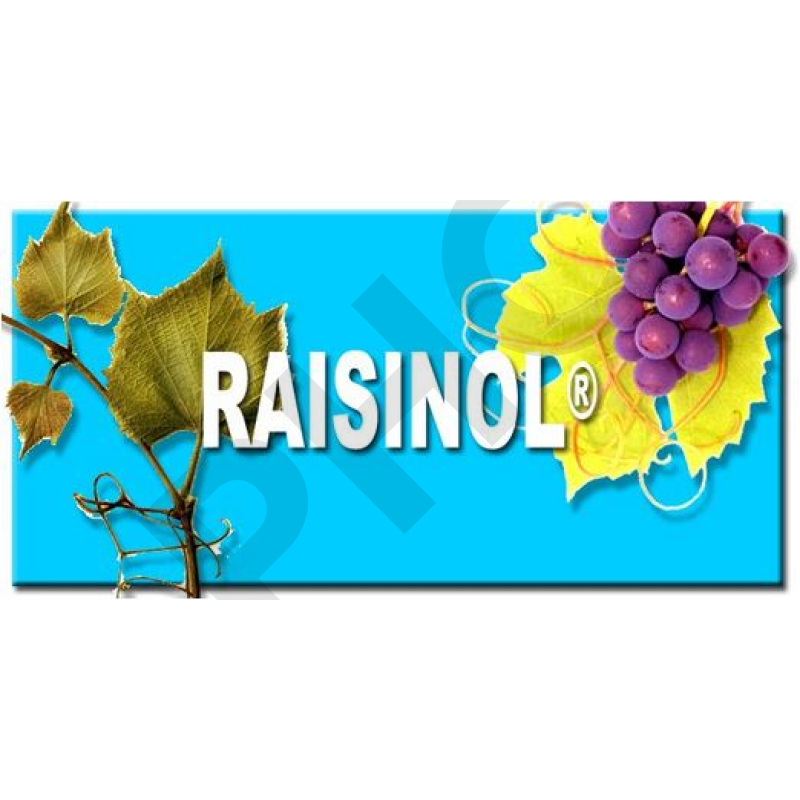 RAISINOL, 60 gélules