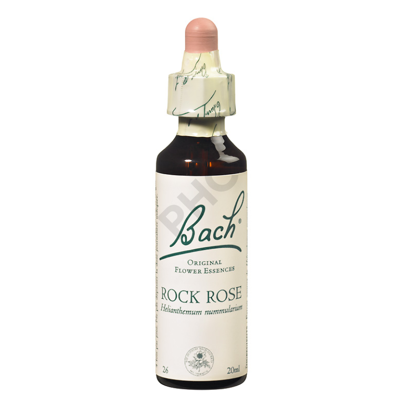 ROCK ROSE - Fleurs de Bach N°26, 20 ml