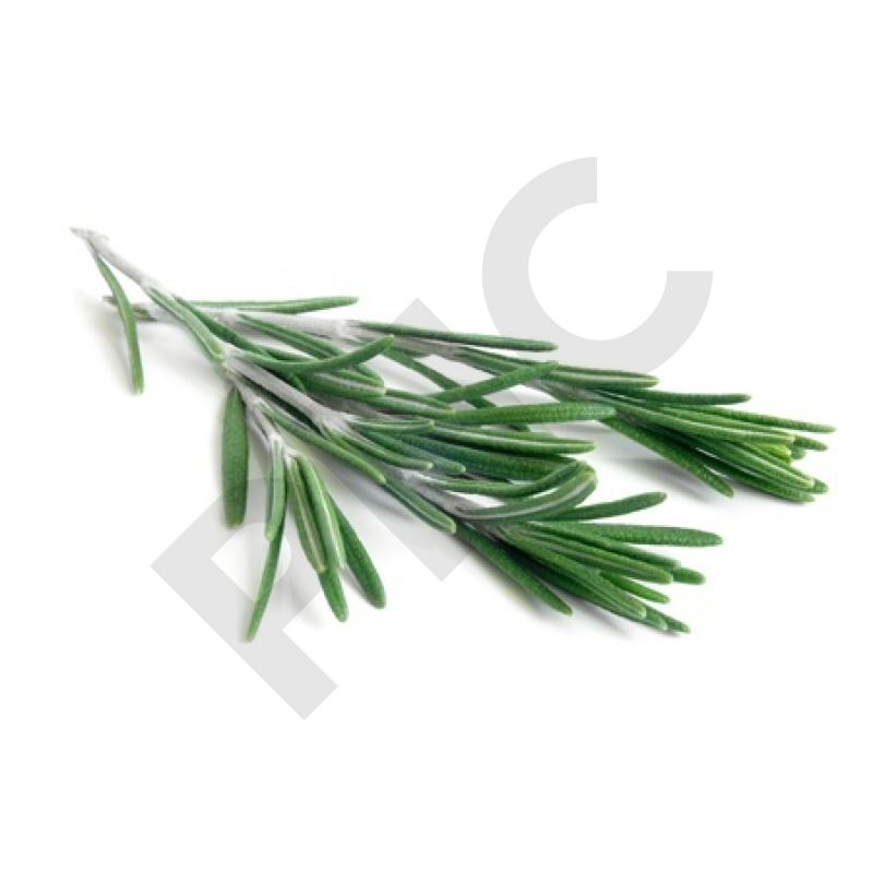 ROMARIN (Feuille entière)