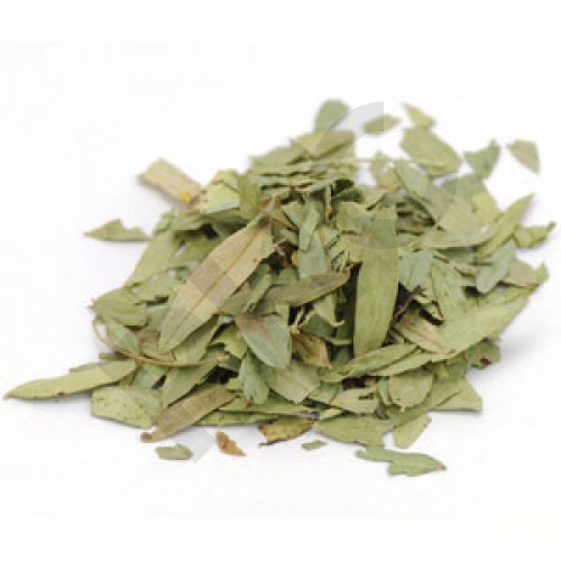 SENE (Foliole entier)