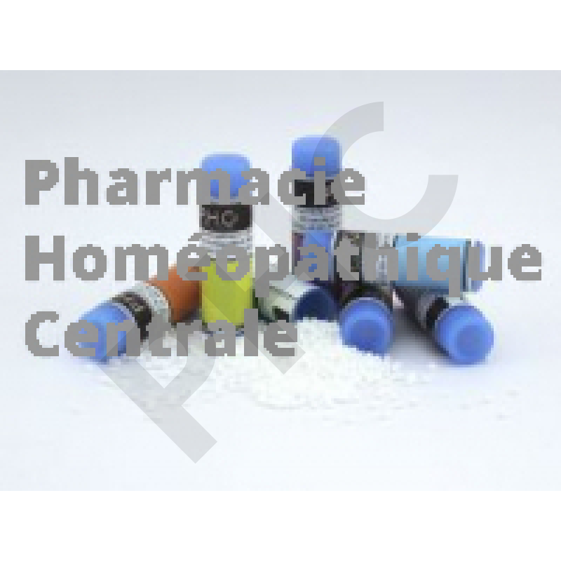 Stillingia sylvatica dose homéopathique - pharmacie PHC