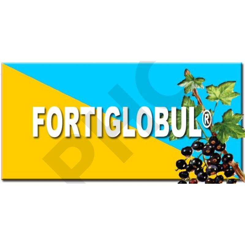 SUN REX FORTIGLOBUL