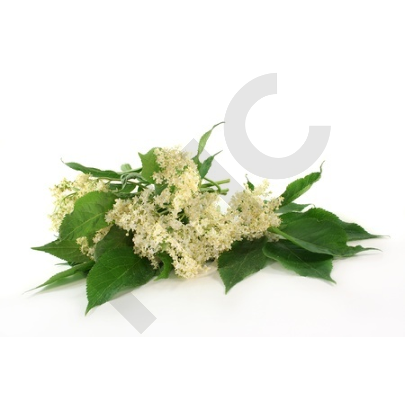 SUREAU FLEUR