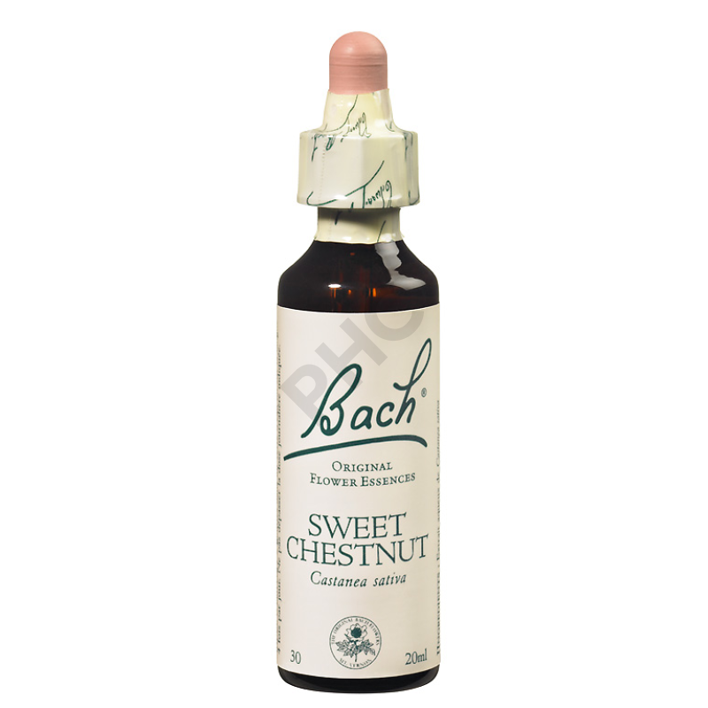 SWEET CHESTNUT - Fleurs de Bach N°30, 20 ml